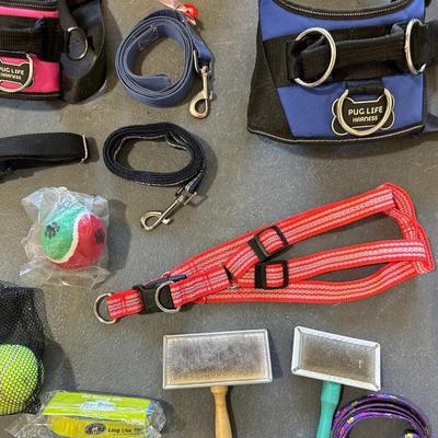 THICK DOG BED, GROOMING BRUSHES, HALTERS AND MORE