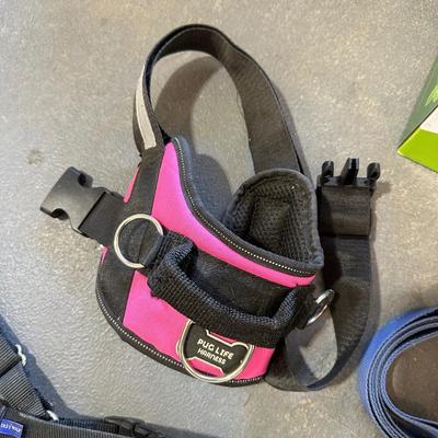 THICK DOG BED, GROOMING BRUSHES, HALTERS AND MORE