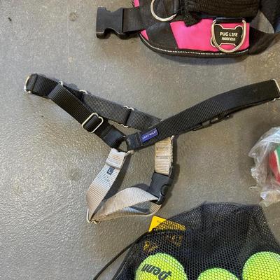 THICK DOG BED, GROOMING BRUSHES, HALTERS AND MORE