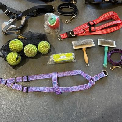 THICK DOG BED, GROOMING BRUSHES, HALTERS AND MORE