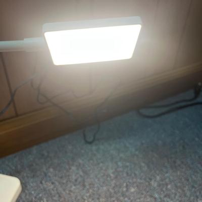 Desk Lamp, Thermometers & Flashlights (1BL-MG)