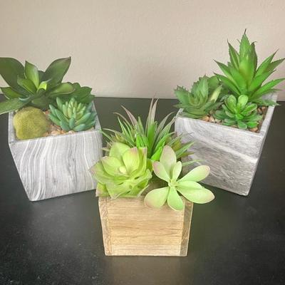 Potted Artificial Mini Succulent Lot