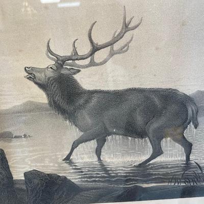 Original Henry Landseer 1800s "Sanctuary" Lithograph Print