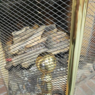 Brass and Cast Iron Fireplace Set (1BO-KD)