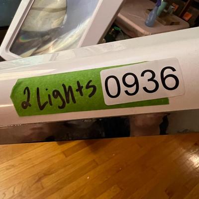 2 Ottlite Floor Lamps - 1 Magnifier
