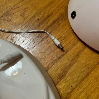 2 Ottlite Floor Lamps - 1 Magnifier