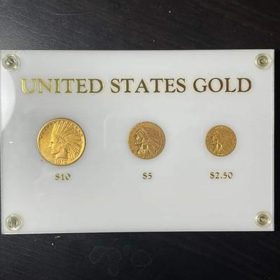Family OF Eagles 3 Gold Coin encased set