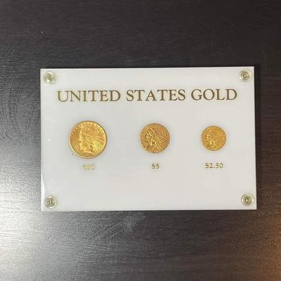 Family OF Eagles 3 Gold Coin encased set