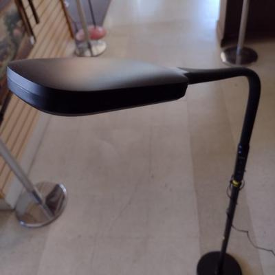Adjustable Neck Floor Lamp