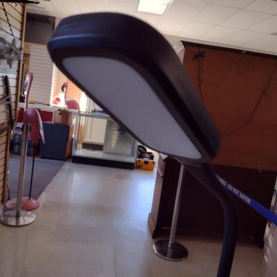 Adjustable Neck Floor Lamp
