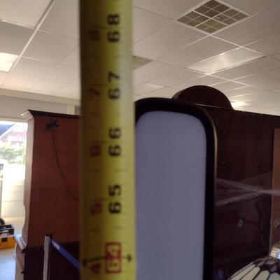 Adjustable Neck Floor Lamp