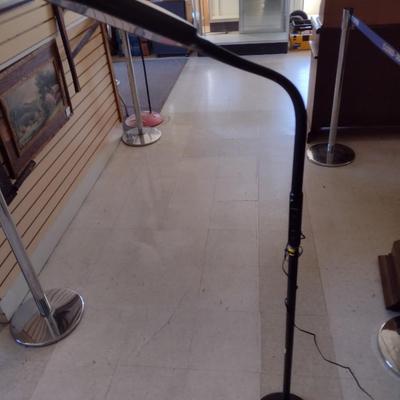 Adjustable Neck Floor Lamp