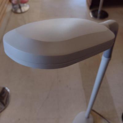 Adjustable Neck Floor Lamp