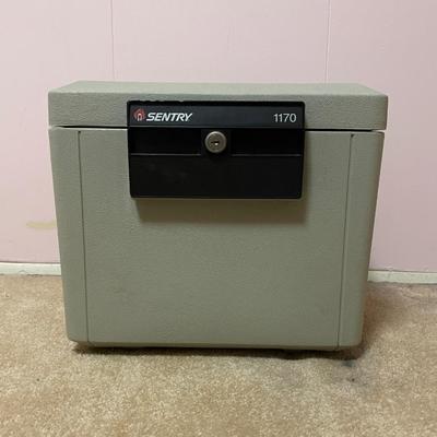 Sentry Fire Safe