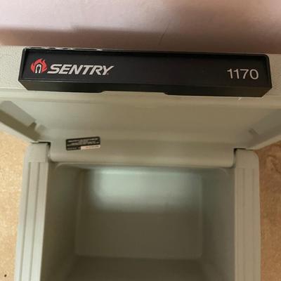 Sentry Fire Safe