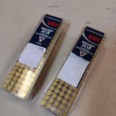 200 Ct. CCI Mini Mag 22LR Ammo
