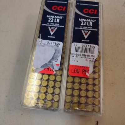150 Rounds CCI Mini Mag 22LR Ammo