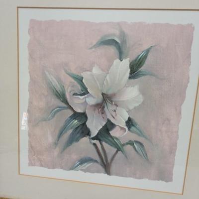 Framed Floral Prints