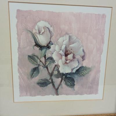 Framed Floral Prints