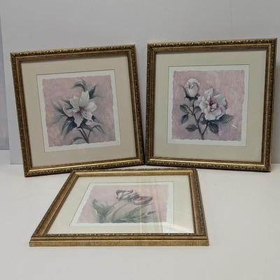 Framed Floral Prints