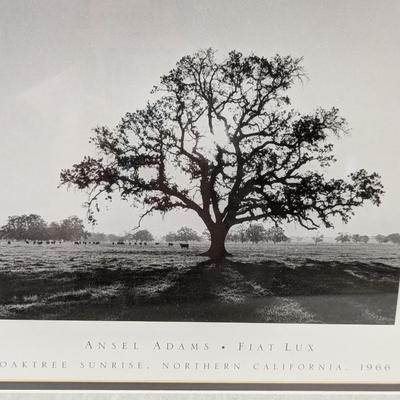 Framed Art Work 1 Ansel Adams Print