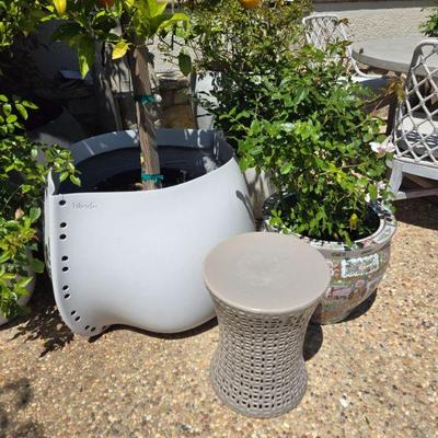 Sale Photo Thumbnail #98: plants pots and tables
