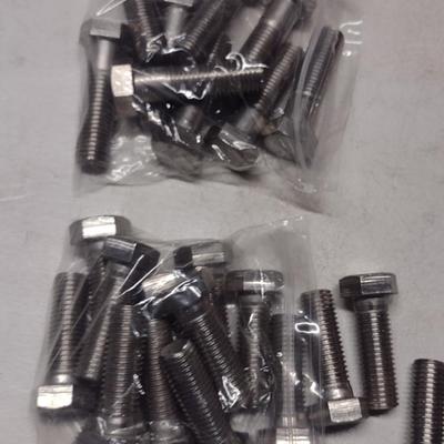 Hex Head Bolts (#11)