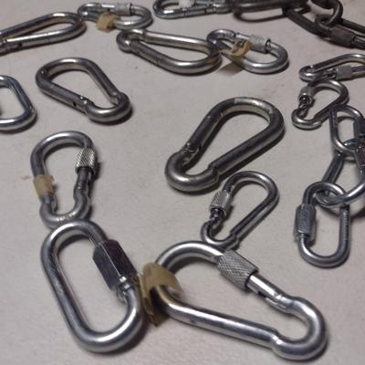 Carabiners and Locking Clips (#23)