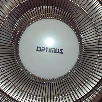 Optimus Electric Heater with Remote Control- 1200 Watts