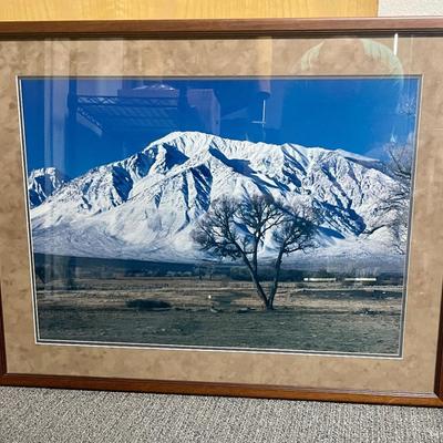 Framed Photograph of Snow- Capped Mountains