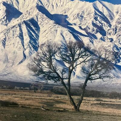 Framed Photograph of Snow- Capped Mountains