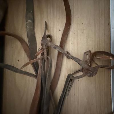 Vintage leather bridle