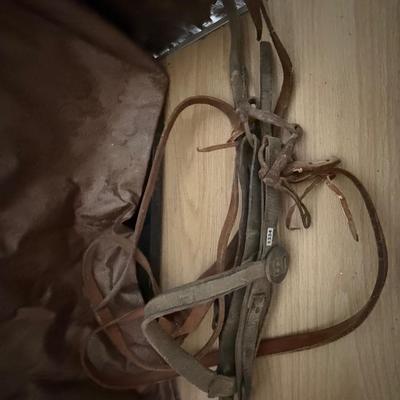 Vintage leather bridle