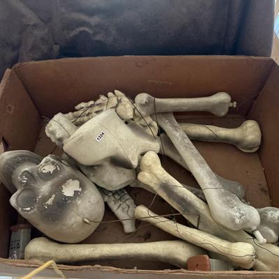 Skeleton