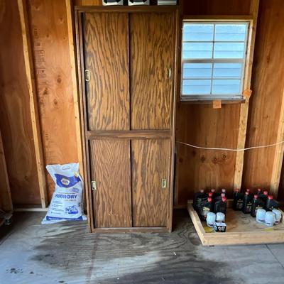 Garage cabinet with doors