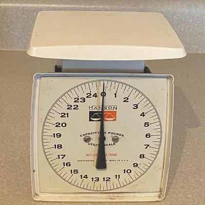 Hanson Utility Scales