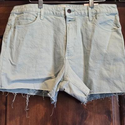 New with Tags Seafoam Green Shorts