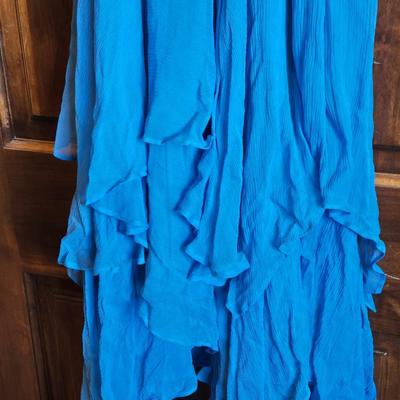 BCBG Blue Flouncy Dress