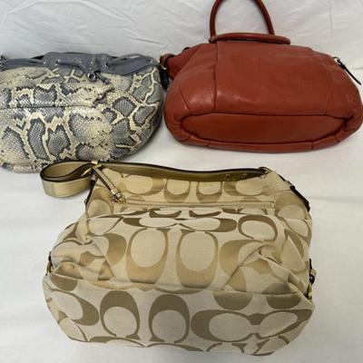 Coach Handbag Assortment