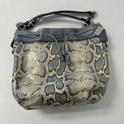 Coach Handbag Assortment