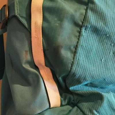 The North Face Backpack with Flex Vent