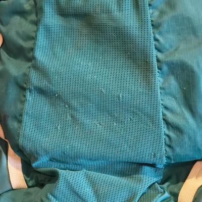The North Face Backpack with Flex Vent