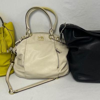 Coach Handbag Assortment