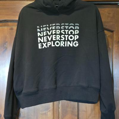 The North Face Never Stop Exploring Hoodie