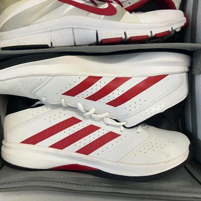 Large Men's Shoe Assortment