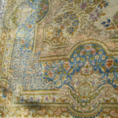 Large Oriental Rug
