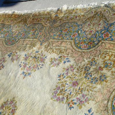 Large Oriental Rug