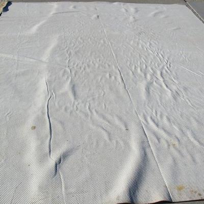 Large Oriental Rug