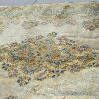 Large Oriental Rug