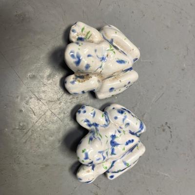 Anatomical frogs
